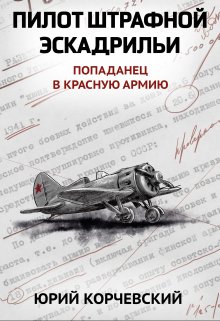 Пилот штрафной эскадрильи — Валерий Атамашкин