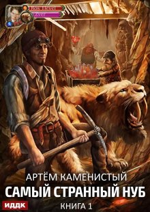 Самый странный нуб. Книга 1 — ИДДК