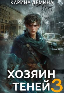 Громов: Хозяин теней. 3 — Карина Демина